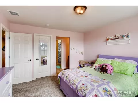 1883 Seadrift Dr, Windsor, CO 80550 photo 29