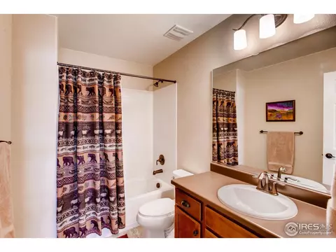 1883 Seadrift Dr, Windsor, CO 80550 photo 35