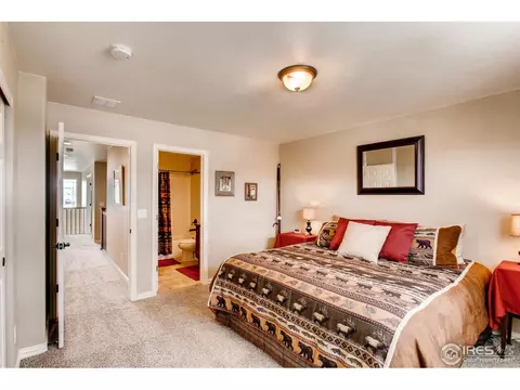1883 Seadrift Dr, Windsor, CO 80550 photo 33
