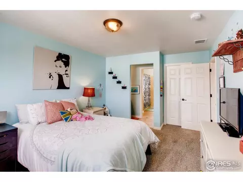 1883 Seadrift Dr, Windsor, CO 80550 photo 32