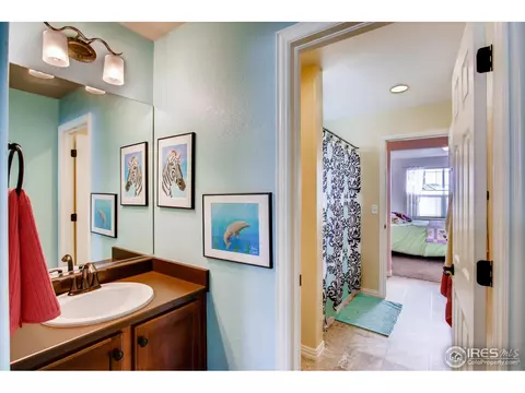 1883 Seadrift Dr, Windsor, CO 80550 photo 30