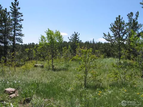 330 Spring Gulch Rd, Ward, CO 80481 photo 12
