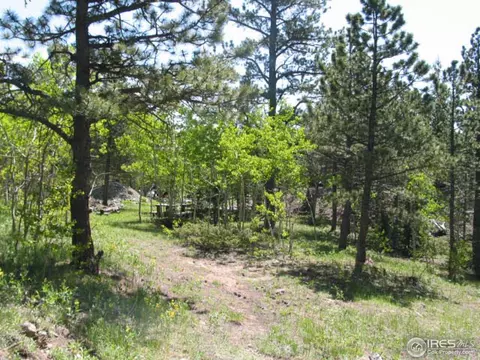 330 Spring Gulch Rd, Ward, CO 80481 photo 10