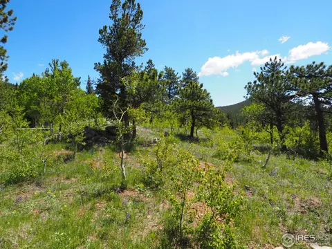 330 Spring Gulch Rd, Ward, CO 80481 photo 7