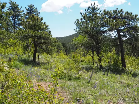 330 Spring Gulch Rd, Ward, CO 80481 photo 9