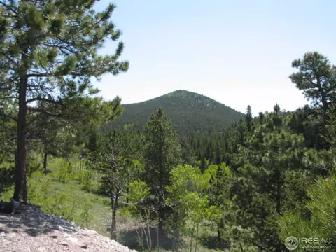 330 Spring Gulch Rd, Ward, CO 80481 photo 11