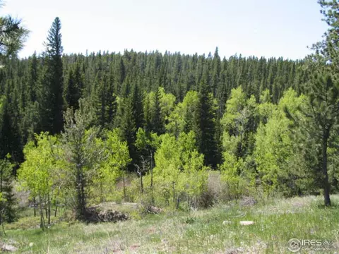330 Spring Gulch Rd, Ward, CO 80481 photo 3