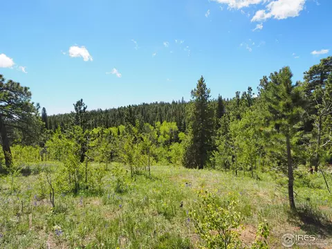 330 Spring Gulch Rd, Ward, CO 80481 photo 8