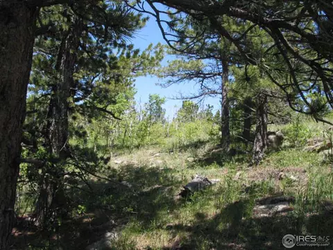 330 Spring Gulch Rd, Ward, CO 80481 photo 5