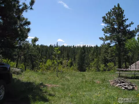 330 Spring Gulch Rd, Ward, CO 80481 photo 2