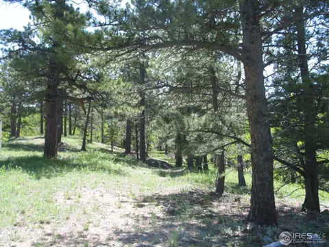 330 Spring Gulch Rd, Ward, CO 80481 photo 4