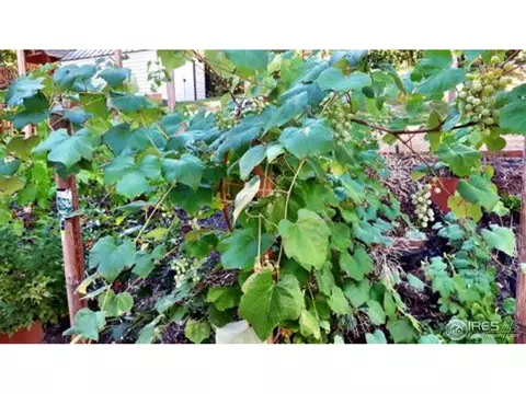 1534 North St, Boulder, CO 80304 photo 18