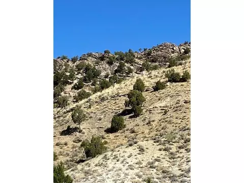 Undisclosed, Dinosaur, CO 81610 photo 8
