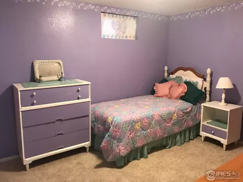 3901 Jackson Way, Thornton, CO 80233 photo 12