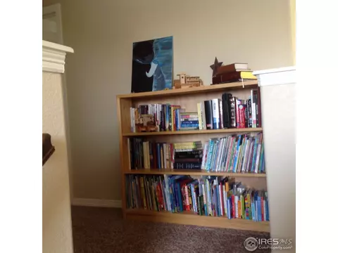 6656 12th St, Frederick, CO 80530 photo 21