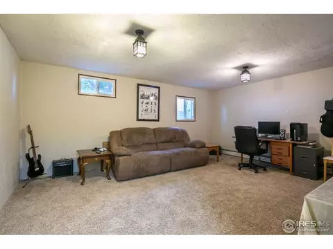 2 Daisy Ct, Windsor, CO 80550 photo 13