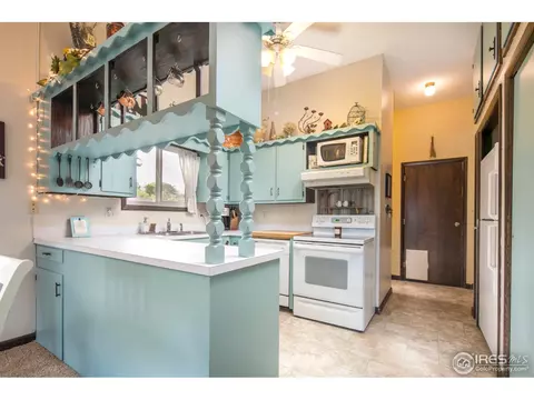 2 Daisy Ct, Windsor, CO 80550 photo 8