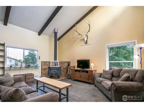 2 Daisy Ct, Windsor, CO 80550 photo 5