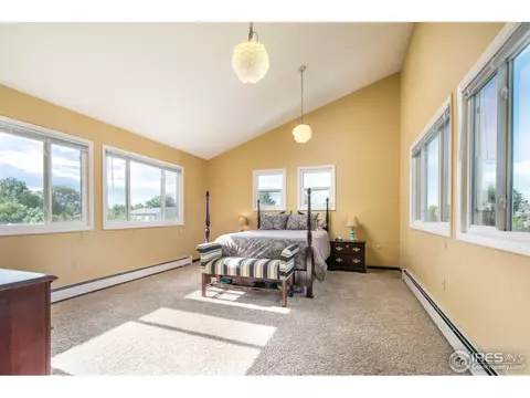 2 Daisy Ct, Windsor, CO 80550 photo 10