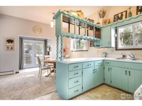 2 Daisy Ct, Windsor, CO 80550 photo 9