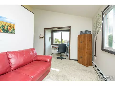 2 Daisy Ct, Windsor, CO 80550 photo 16