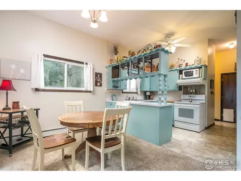 2 Daisy Ct, Windsor, CO 80550 photo 7