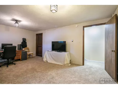 2 Daisy Ct, Windsor, CO 80550 photo 14