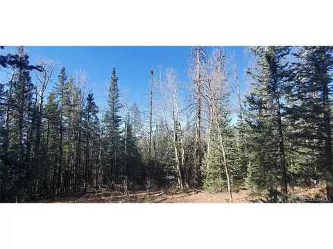 6581 Ackerman Rd, Fort Garland, CO 81133