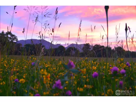 1498 Marshall Rd, Boulder, CO 80305 photo 9