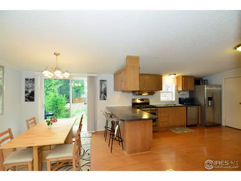 429 Caesar Rd, Black Hawk, CO 80422 photo 19