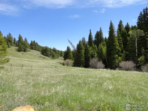 198 Hard Way Rd, Ward, CO 80481 photo 23