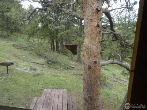 198 Hard Way Rd, Ward, CO 80481 photo 34