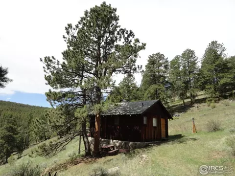 198 Hard Way Rd, Ward, CO 80481 photo 19