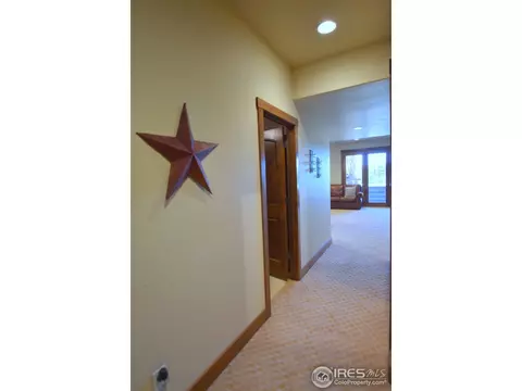 7015 Royal Country Down Dr, Windsor, CO 80550 photo 28