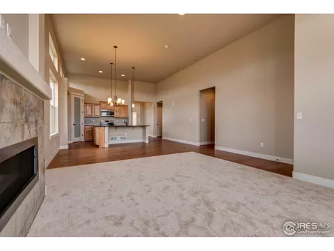 890 Shade Tree Dr, Windsor, CO 80550 photo 16