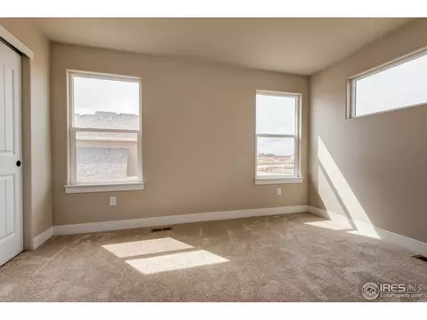 890 Shade Tree Dr, Windsor, CO 80550 photo 25