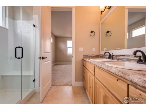 890 Shade Tree Dr, Windsor, CO 80550 photo 21