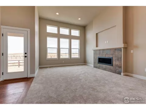 890 Shade Tree Dr, Windsor, CO 80550 photo 14