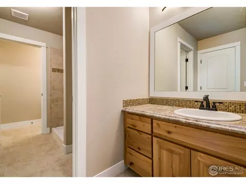 890 Shade Tree Dr, Windsor, CO 80550 photo 18