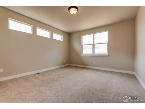 890 Shade Tree Dr, Windsor, CO 80550 photo 23