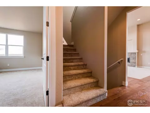 890 Shade Tree Dr, Windsor, CO 80550 photo 17