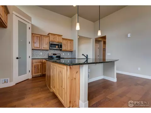 890 Shade Tree Dr, Windsor, CO 80550 photo 5
