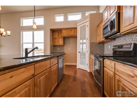 890 Shade Tree Dr, Windsor, CO 80550 photo 6
