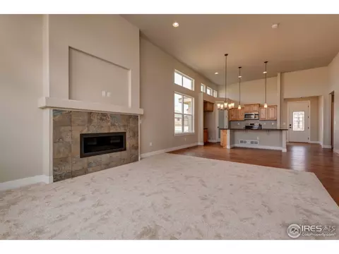 890 Shade Tree Dr, Windsor, CO 80550 photo 13