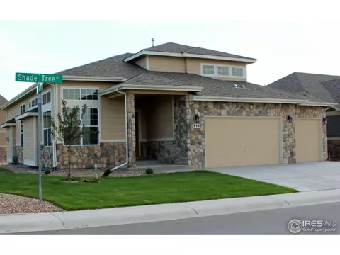 890 Shade Tree Dr, Windsor, CO 80550 photo 3