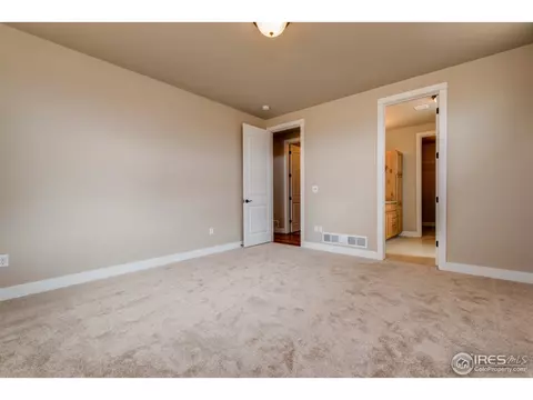 890 Shade Tree Dr, Windsor, CO 80550 photo 22