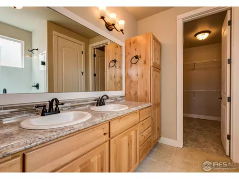 890 Shade Tree Dr, Windsor, CO 80550 photo 20