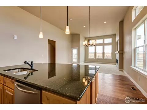 890 Shade Tree Dr, Windsor, CO 80550 photo 8