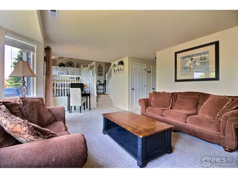 3885 E 139th Pl, Thornton, CO 80602 photo 21