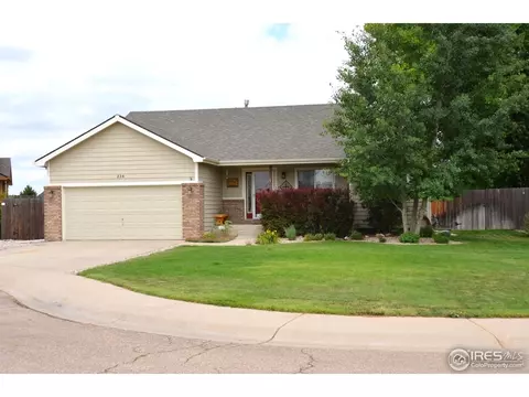 334 Amber Dr, Windsor, CO 80550 photo 1